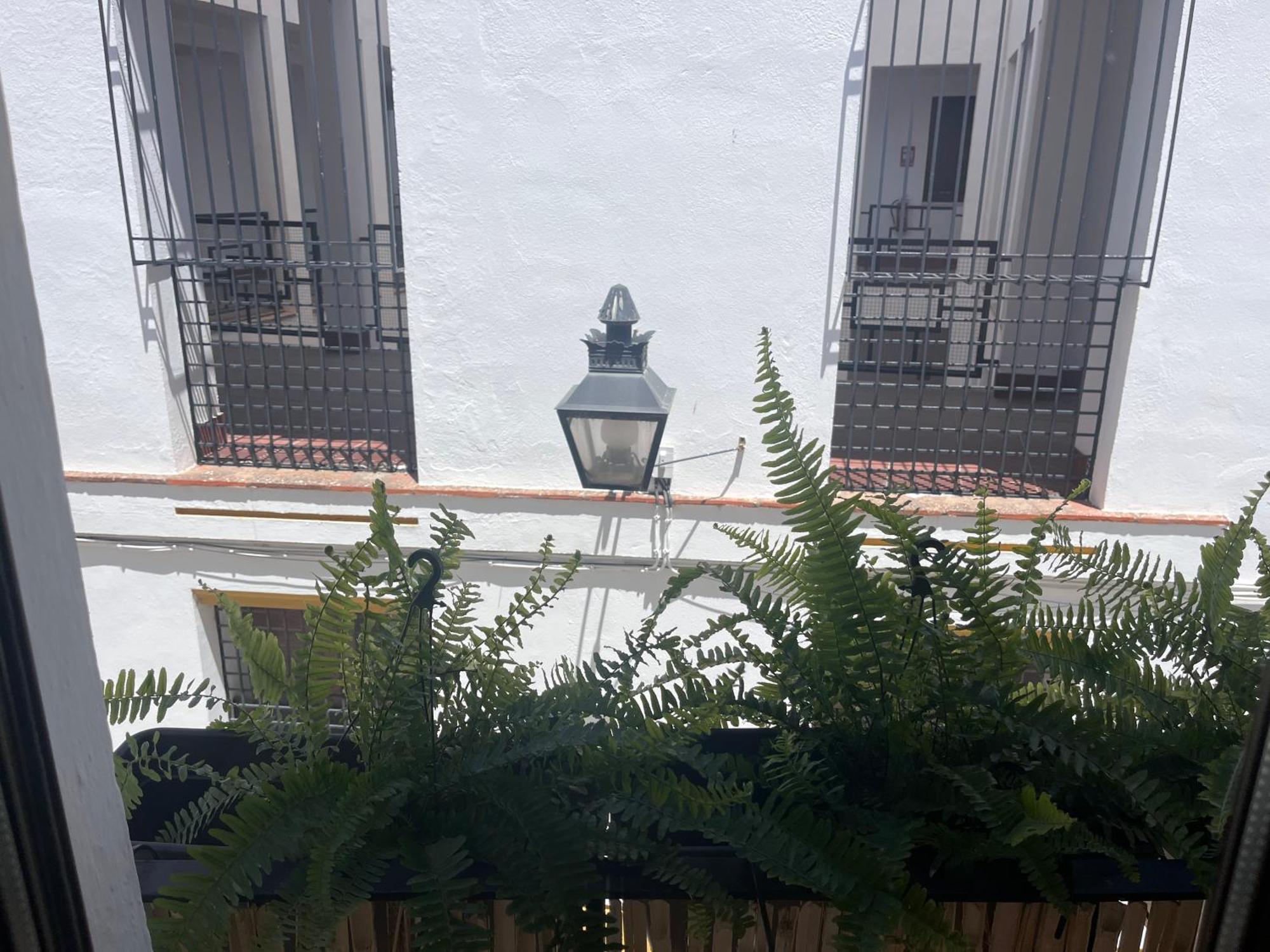 Mucho Trigo Apartments New Córdoba Eksteriør bilde